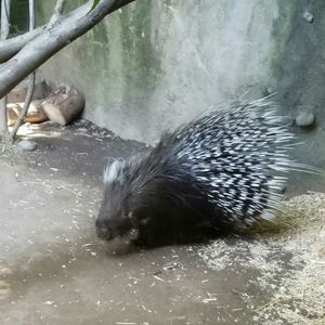 Meet your Posher, Noah